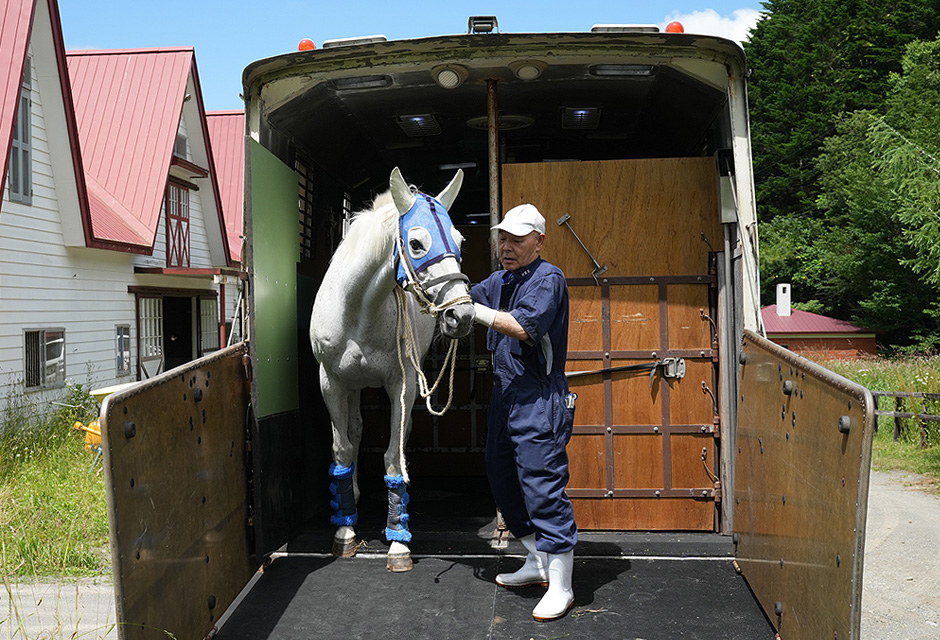 運転技術と馬を扱う技術の両方が身につく